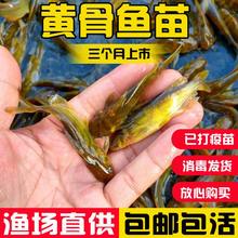 �S�~�����S�����Bֳ�~�絭ˮ�^�pѾ�^�����S��ˮʳ���S���~���S�