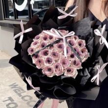 ���S�����l����÷���u��������������Ϧ���˹����նY������Ů��