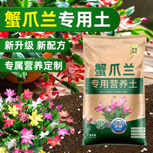 NзצmзצɏIB_÷з_mзm