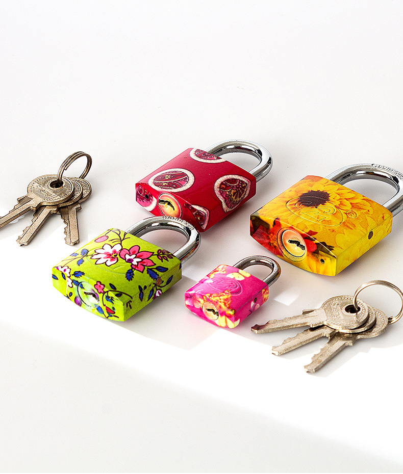 Factory direct heating transfer printing iron padlocks, door locks, printed locks, multi-color and multi-specification bags, arc-shaped color lock heads, wholesale padlocks, hardware locks pic 9