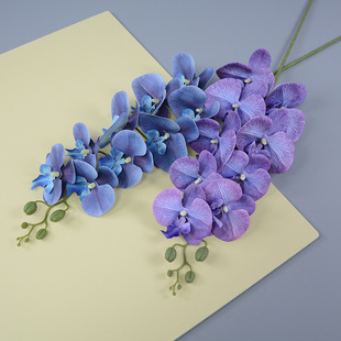 9�^�zƬ�����m��֦����߼��б�������m��c�þƵ����P��������