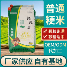 粒粒香珍珠米批发普通粳米软糯珍珠米25kg袋装珍珠米50斤装大米