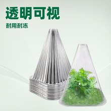 ����ֲ�������ֱ��o��͸��͸�Ᵽ���r�ò��绨����B����x˪��