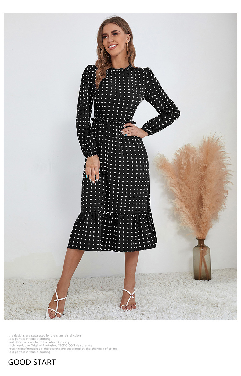 Long-Sleeved Polka Dot Print Dress NSDMB104553