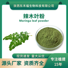 辣木叶粉 辣木叶生粉Moringa leaf powder 新资源食品 辣木叶原粉
