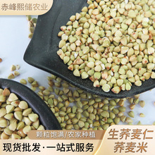 ���ɹ��s�Z�w�� �w���� �s�Z���w���� �w���� �w�������l