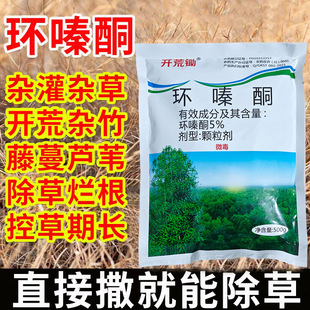 �hຆL��������ș�s���ľ�s�����ӳ��ݠ�������Ʒ���݄������w��