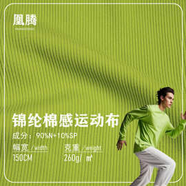 仿棉罗纹运动弹力面料经典锦纶lulu罗纹同款 2*2棉感瑜伽服面料