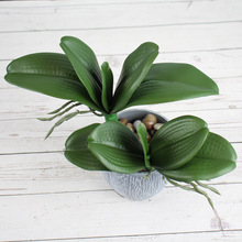 �������Բ廨���b��~���~�����m�m���ݾGPUֲ��֧���|�~�ӻ����~