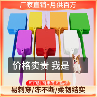 10*10cm foreign trade warehouse seal tag express logistics Debang express woven bag gardening fruit tree anti-counterfeiting tie