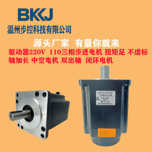 110BYG350B ���ಽ�M늙C110���m  12NM