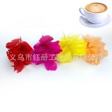 �S�Ҷ��Ʋ�ɫ˺���h�F�z����ë��̨�����������b����ػ�����