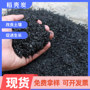 �S�ҹ�������̿�@ˇ������|����������ľ�ҷNֲ�����õ��������l