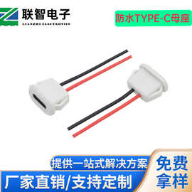 type-c2P卡扣式防水带线母座type-c防水2P注塑带线卡位式USB接口