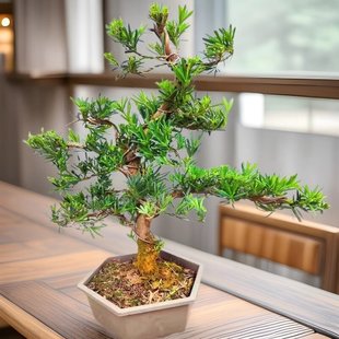 �_�h���辰����䘶���͘�ӭ�����҃����ԾGֲȸ���_�h����������