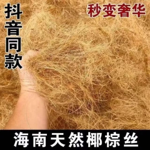 ��ȻҬ�zҬ�ؽz�B�C�|���W�^�}�������B�ů͸���B���|�Č���