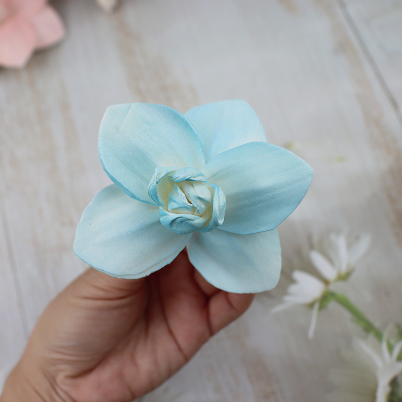 Una cabeza de Orquídea de mariposa azul de Santorini de 7 - 8 cm sin postes de flores