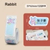 Rabbit3161