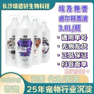 Egyptian Fragrance Pet Shampoo Pet Shop Dog Care Bath Essential Oil 3.8L Large Barrel Shampoo
