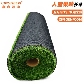 高尔夫配件;高尔夫球;草坪