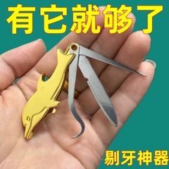 ポータブルステンレス鋼つまようじナイフ、歯のフックプローブ、家庭用口腔ケア歯のクリーニングツール