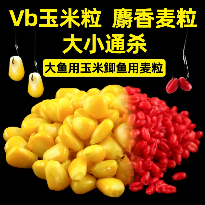 Xibu Feng VB Кукурузная приманка для травяного карпа - сладкая нежная рыболовная частица, 100% натуральный вкус