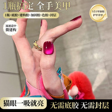�o����z������һ������؈���z2026���¿��@�ײ�����؈�ۼ����z