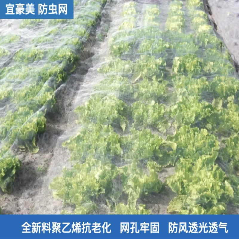 宜豪美牌全新料聚乙烯40目60目加密小白菜防虫网超宽水稻防虫网