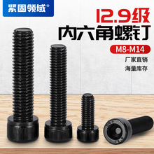 M8-M14Բ��ͷ�ݶ���������˨������ͷ12.9��DIN912��������˿