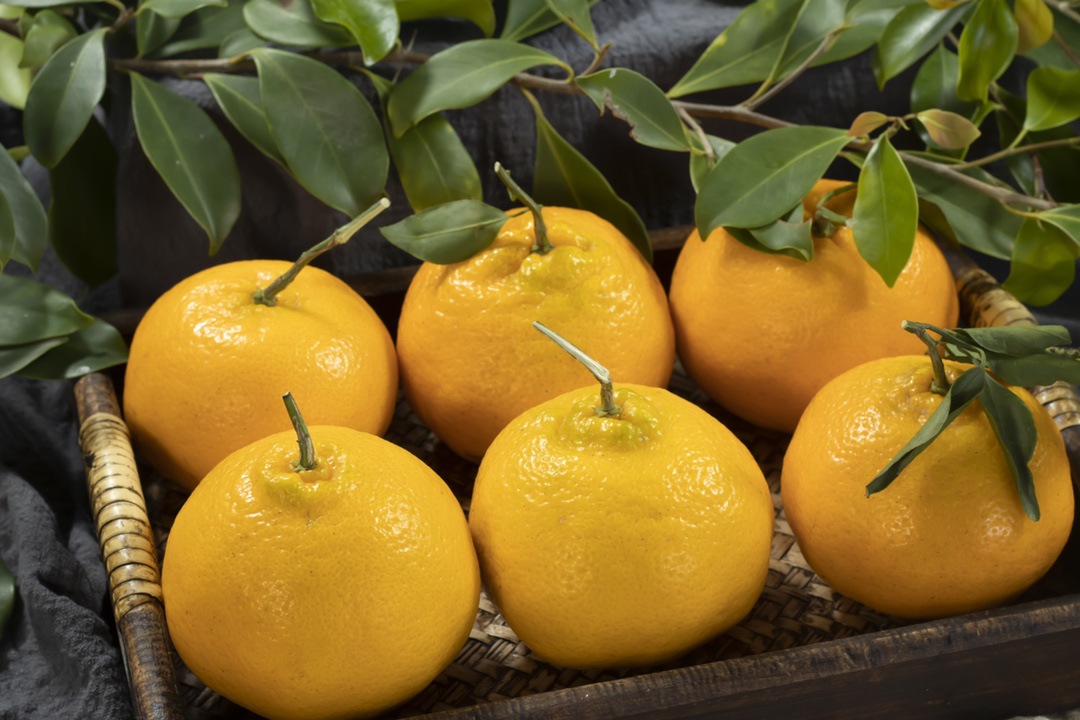 微信图片_20251126074921_328_10