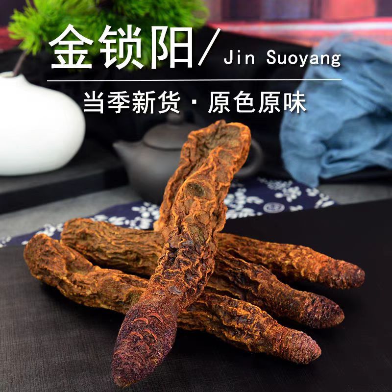 Suo Yang Slices (Cynomorium songaricum) — Inner Mongolia Dried Herb for Wine & Tea overview