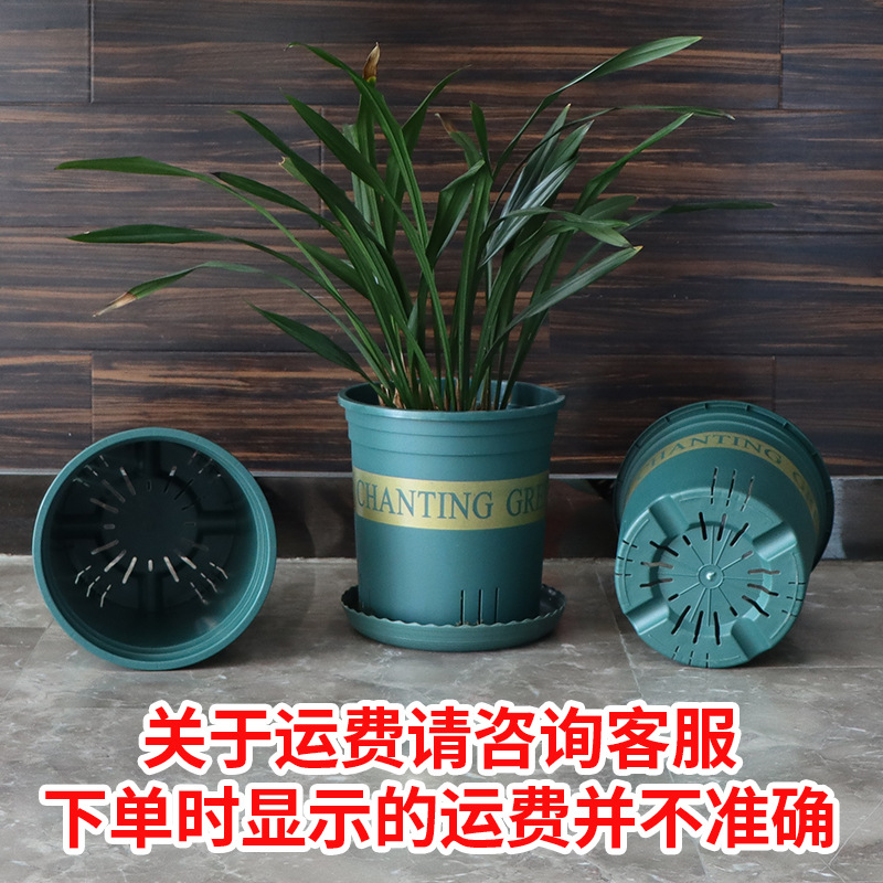 Thick White Gallon Pot Breathable Root Control Qingshan Pot Rose Pothos Monstera Succulent Plastic Wholesale