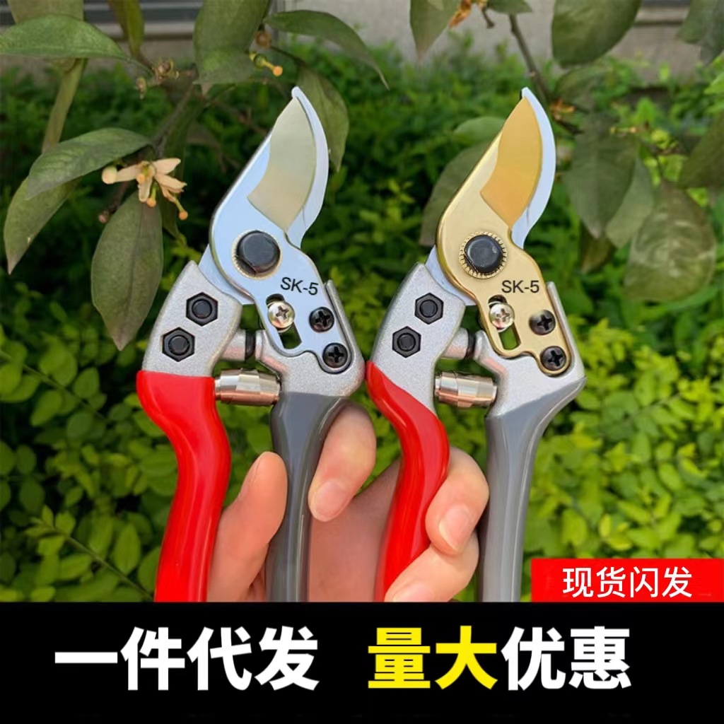 户外万能型修枝剪园艺果树盆景粗枝剪省力剪芽修花剪刀现货批发