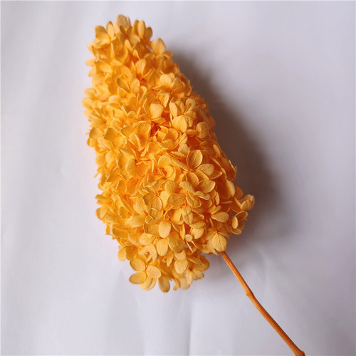Single wooden hydrangea Nordic style home decoration Yunnan eternal flower dried flower bouquet wedding arrangement hydrangea flower material