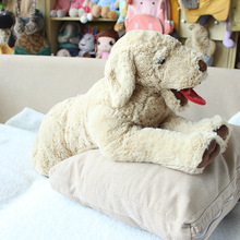 �����������๫�ж����Ø� ë�q������ż�N�ƴ�ӿɐ�