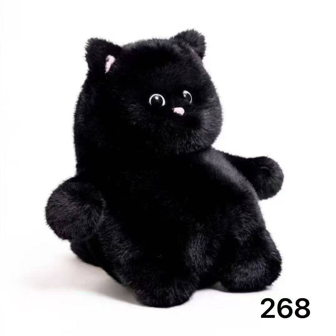 검은 고양이
