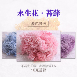 ����������ɻ� �o�s�|����̦�\ ����õ�廨 ���ϰ�10g̦�\���l