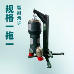 敵撃退訓練とインテリジェント評価システム 格闘技ボクシング打撃テスト 格闘インテリジェント評価システム