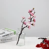 Linglong plum blossom pink