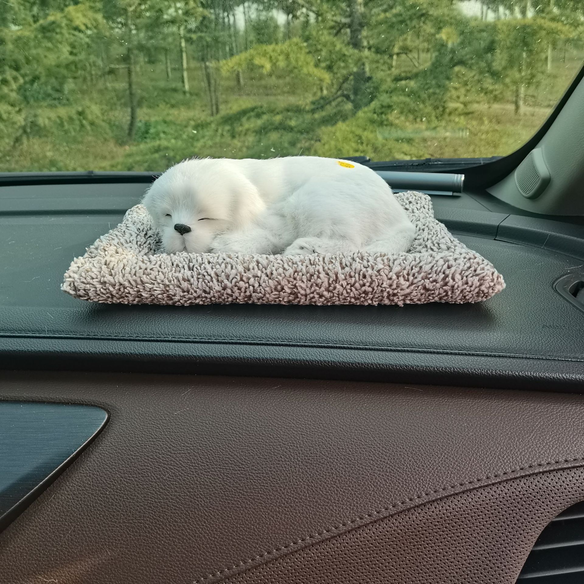 微信图片_20221002084313