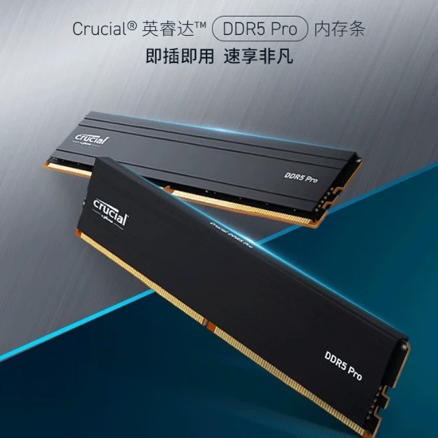 Crucial DDR5 5600 частотный настольный комплект планок 32GB Pro игровой модуль 16GB×2
