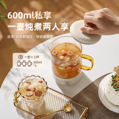 Health Pot Household Multifunction Office Small Flower Tea Cup Electric Water Kettle Automatic Tea Cooking Gift Set