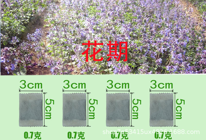 0.7克袋装切片图