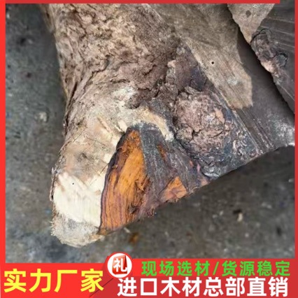 沙漠铁原木老料弹弓刀柄料佛珠手串雕刻把件唢呐二胡沉水木料批发