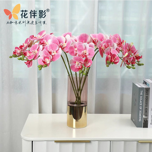 ����Ӱ����3D��ӡ�����m���ϻ��b��ܸߙn�ٻ��[��������ˇ����