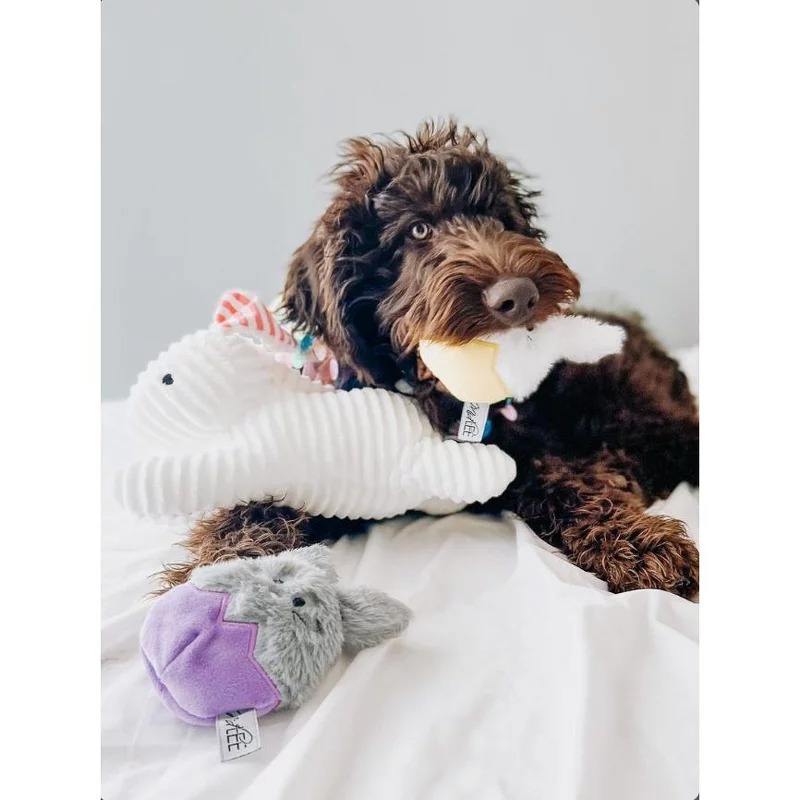 Productos para mascotas transfronterizos, huevos de Pascua, conejos BB llamados sonidos, juguetes de peluche para mascotas, juguetes para perros que no pueden morder.