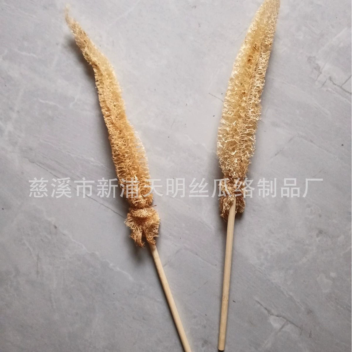 Люфы лист игрушка натуральный люфа кошка игрушка домашнее животное игрушка