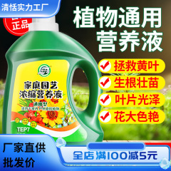 植物用養液、万能花肥料、金のなる木、富の竹、ポトス、水耕鉢植え、家庭用花肥料