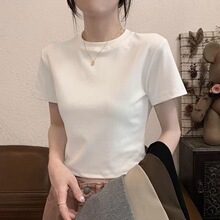 �̿�����2026�ļ����A���������T��Ů���s�����@�����³���