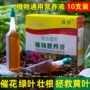 浓缩水培植物盒装营养液